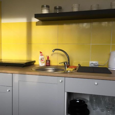 Apartamenti Zirnis Цесіс Екстер'єр фото