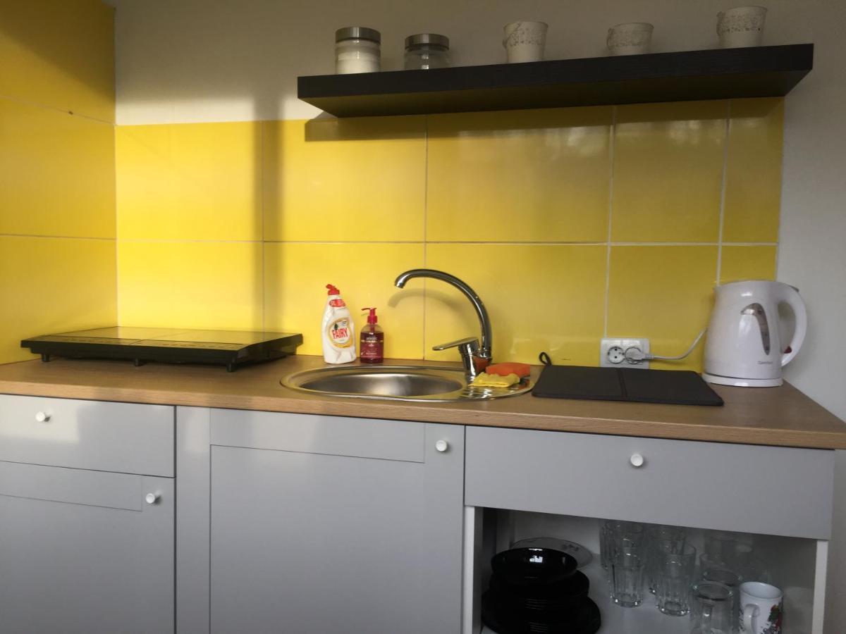 Apartamenti Zirnis Цесіс Екстер'єр фото